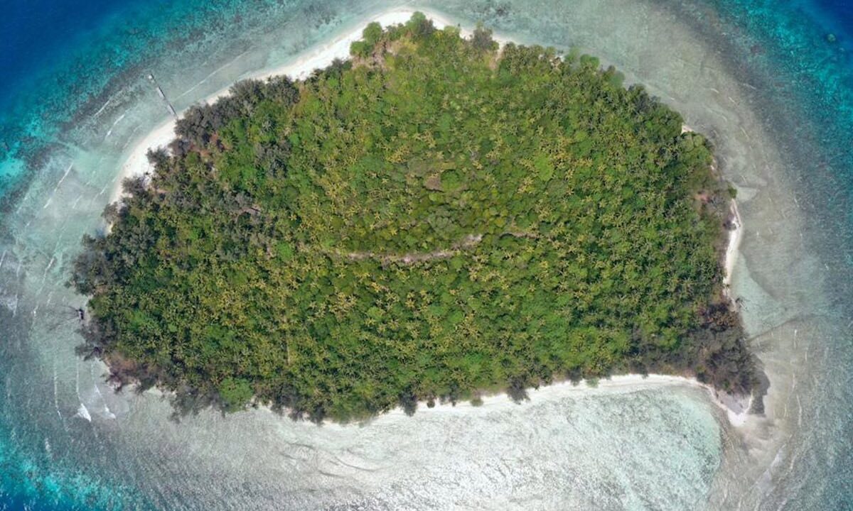 Virgin island for sale